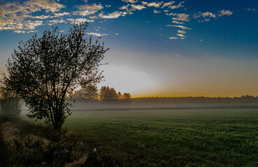 blue sky, sunrise and morning fog