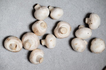 Raw mini mushroom champignon in a gray background. Top view