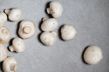 Raw mini mushroom champignon in a gray background. Top view