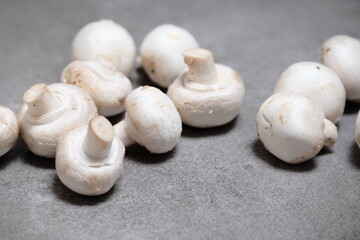 Raw mini mushroom champignon in a gray background. Top view