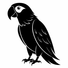 Parrot Black silhouette