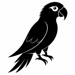 Parrot Black silhouette