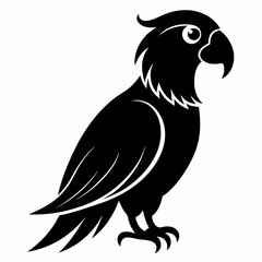 Parrot Black silhouette