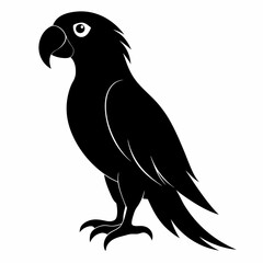 Parrot Black silhouette