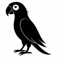 Parrot Black silhouette