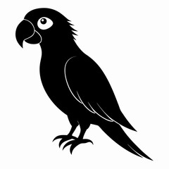 Parrot Black silhouette
