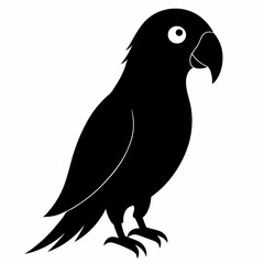Parrot Black silhouette