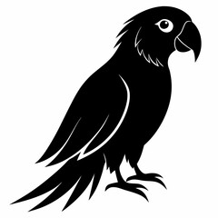 Parrot Black silhouette