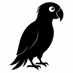 Parrot Black silhouette