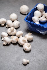 Raw mini mushroom champignon in a blue plastic box at gray background. Top view