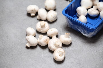 Raw mini mushroom champignon in a blue plastic box at gray background. Top view