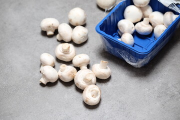 Raw mini mushroom champignon in a blue plastic box at gray background. Top view