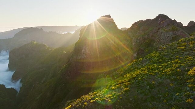 Aerial view at Pico do Arieiro of mountains over clouds with blooming Cytisus shrubs on sunset with sunburst. Madeira island, Portugal. Orbit parallax shot