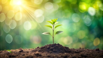 A Tiny Sapling, A World of Hope: A Watercolor Depiction of a Young Tree in a Lush Garden  AI Generated