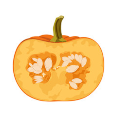 Half a pumpkin with seeds isolated on white background. Hand drawn simple flat vector pumpkin.
