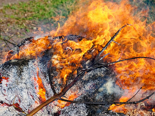 The fire appears to be a controlled burn of collected debris.