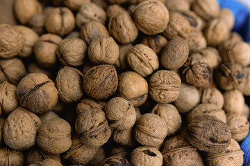 Walnut heap closeup. Vegan food. Concept of healthy food.