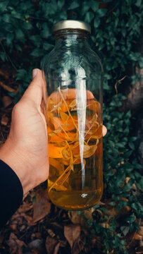 Botella de ca&ntilde;a con ruda: tradici&oacute;n del D&iacute;a de la Pachamama para ahuyentar los males del invierno
