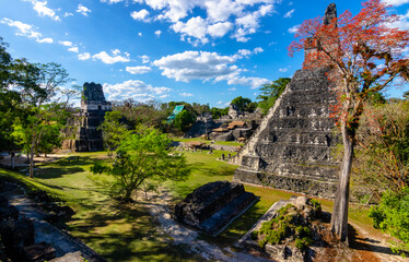 ruins of tikal