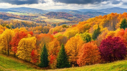 Autumn panorama with vivid fall colors in the trees and rolling hills in the background