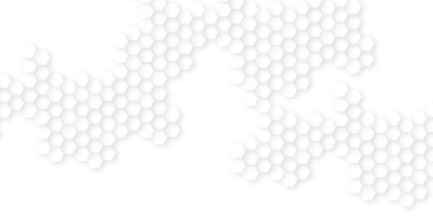 Abstract white hexagon minimal grid line creative.Abstract. Hexagon , honeycomb white Background,white and gray hexagon honeycomb geometric copy space.Luxury white hexagon pattern,