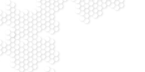 Abstract white hexagon minimal grid line creative.Abstract. Hexagon , honeycomb white Background,white and gray hexagon honeycomb geometric copy space.Luxury white hexagon pattern,