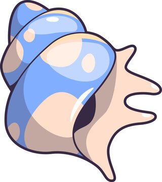Conch Shell