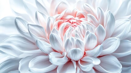 Obraz premium Supernatural and strange flower with glowing petals and mystical aura