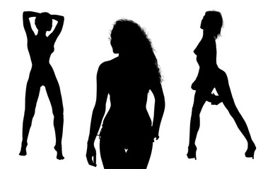 silueta mujer, pose, vector, baile, muchacha, trabajo, cuerpo, erotico, seductor, seduccion
