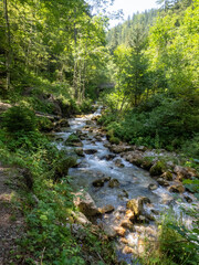 Obraz premium Tscheppaschlucht