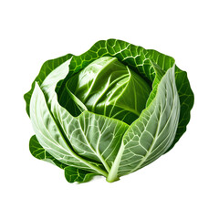 Fresh cabbage Generative Al