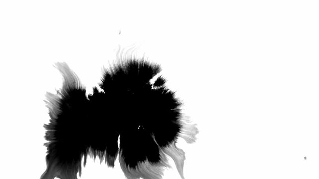 black ink drops on wet paper mask