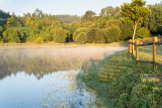Lake with mist billowing over the water in a lush green forest. summer sunrise. Beche reservoir Abegondo Galicia Spain.