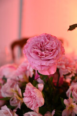 pink flowers, pink roses, flowers background, roses background, close up flowers