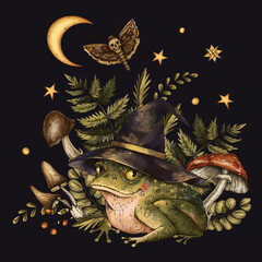 Halloween Toad, Totem Animals with Mushrooms, witchcraft magic illustration