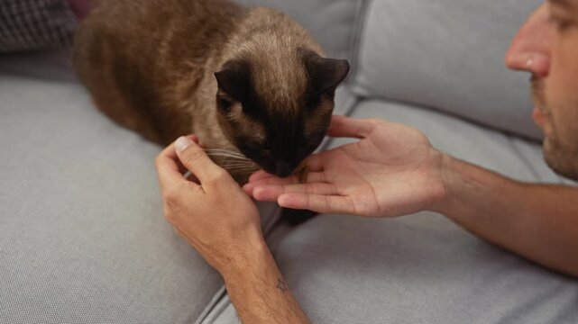 A young hispanic man gently interacting with a brown siamese cat indoors, epitomizing a serene pet-owner moment at home.