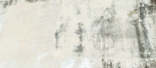 mossy gray cement wall