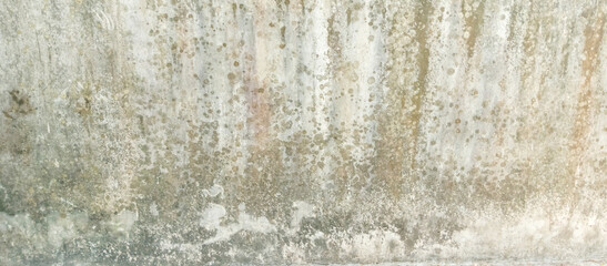 mossy cement house wall building