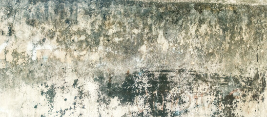 Fototapeta premium mossy cement wall building