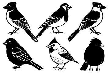 6 Styles of Cute Birds: American Robin, House Sparrow, Northern Cardinal, Blue Jay, American Crow, European Starling - Vector Illustration, Logo Icon, Clipart, Silhouette