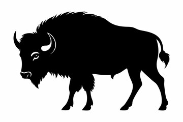 Bison buffalo vector silhouette, bison icon
