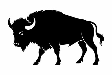 Bison buffalo vector silhouette, bison icon