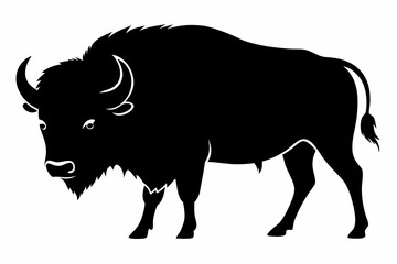 Bison buffalo vector silhouette, bison icon