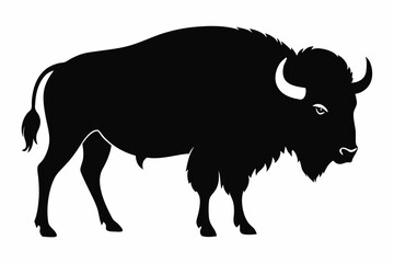 american bison silhouette, bison vector illustration, bison icon
