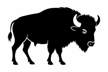 american bison silhouette, bison vector illustration, bison icon

