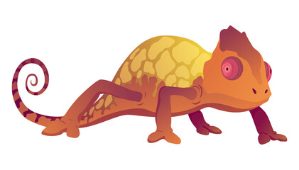 Chameleon lizard. Reptiles with curved tail and camouflage skin, tropical wildlife.  exotic animal illustration