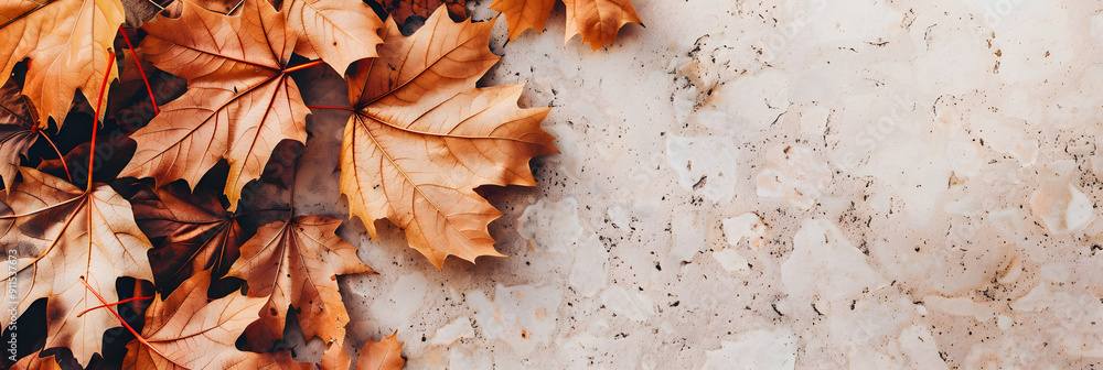 Poster autumn background with leaves on textured stone wall. top view. autumn banner template with space fo