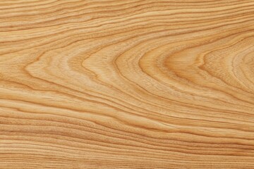 Naklejka premium Panoramic close-up, high detail scan of beech wood material, Generative AI