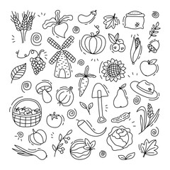 Harvest. Set in doodle style.