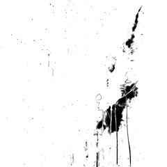 Inkblot Dance: Contrasts in Black and White